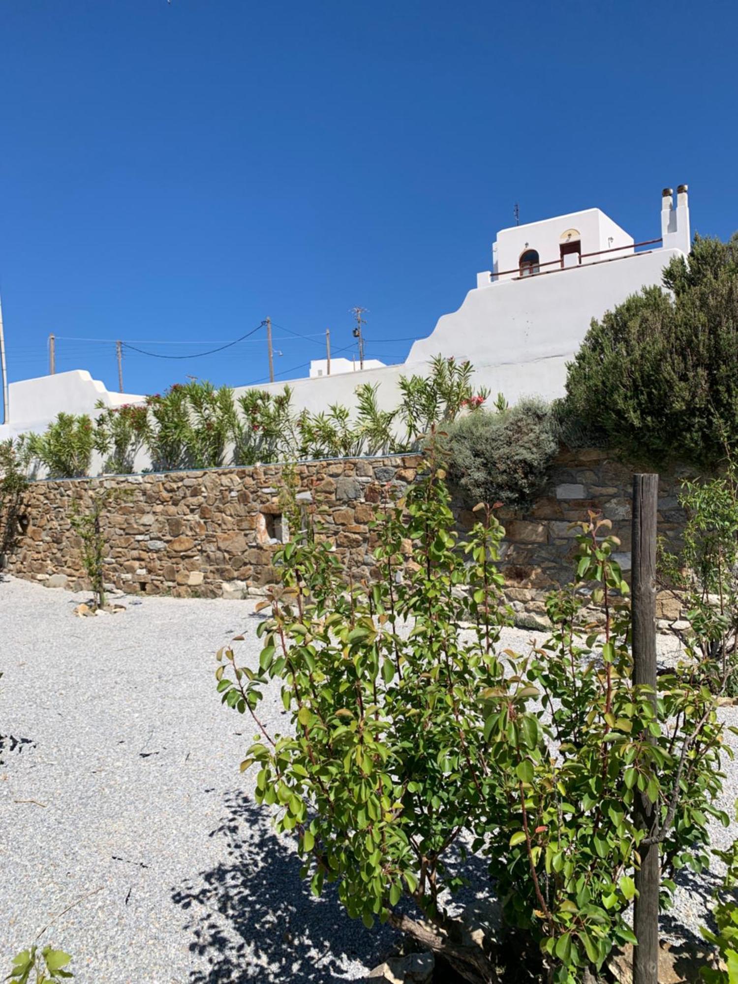 Villa Of Roses In Naxos - Private Villa With Pool Naxos City Exterior foto